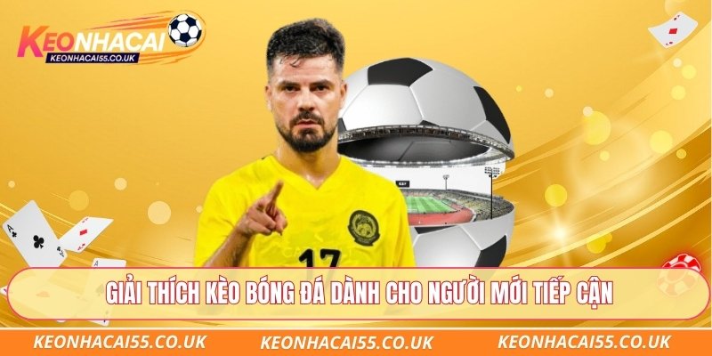 Giải thích kèo bóng đá dành cho người mới tiếp cận