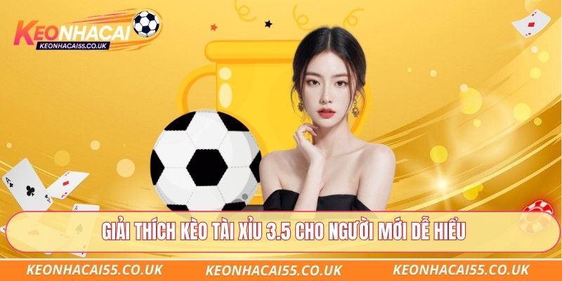 Giải thích kèo tài xỉu 3.5 cho người mới dễ hiểu